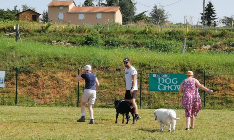 Éducation canine, financée en partie par un don de la CCPA